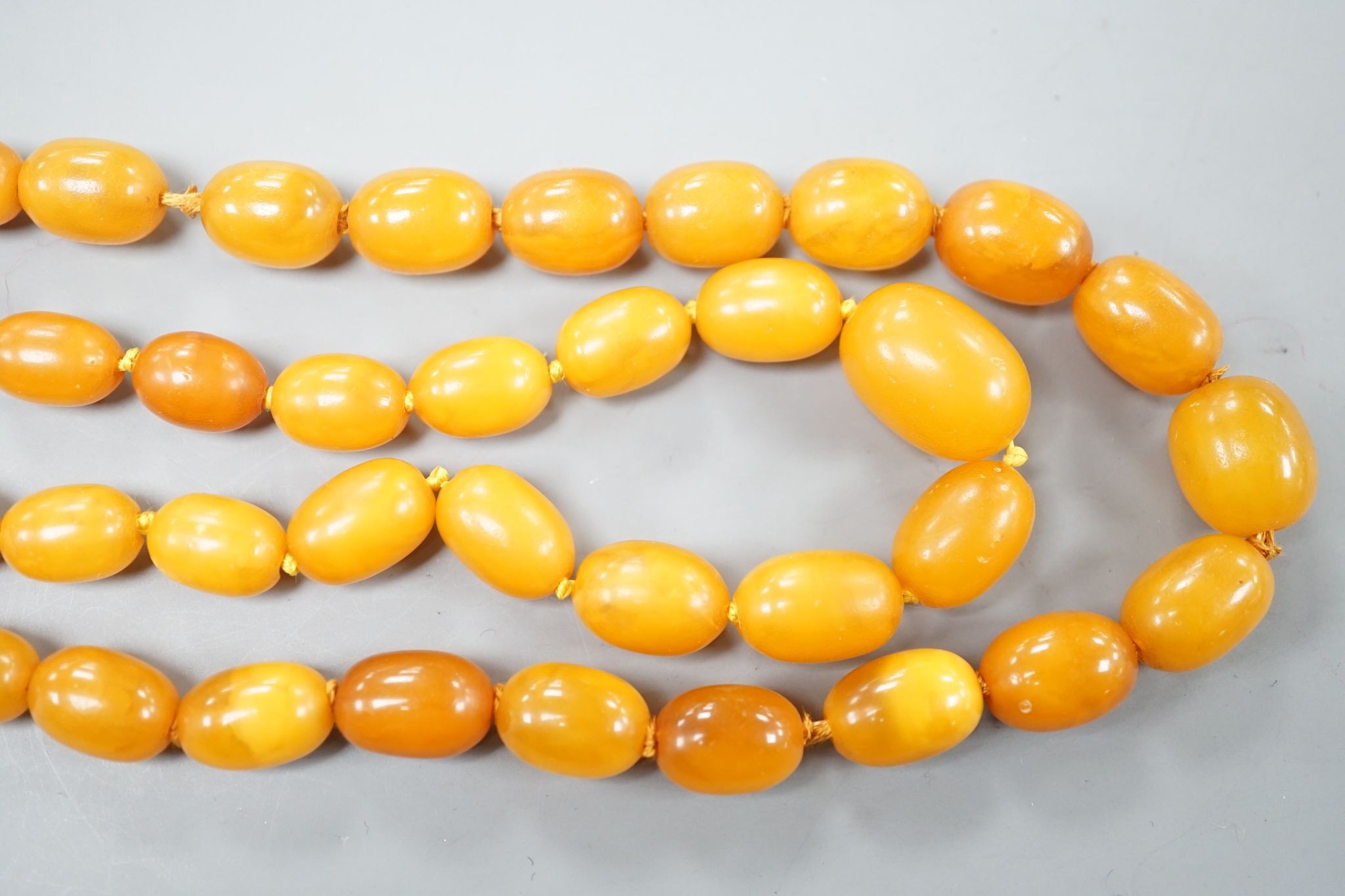 Two single strand graduated oval amber bead necklace, longest 70cm, gross weight 72 grams.